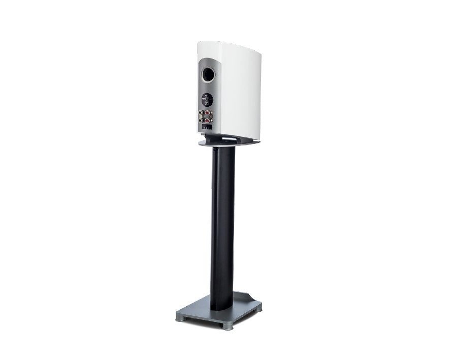 Paradigm Persona B